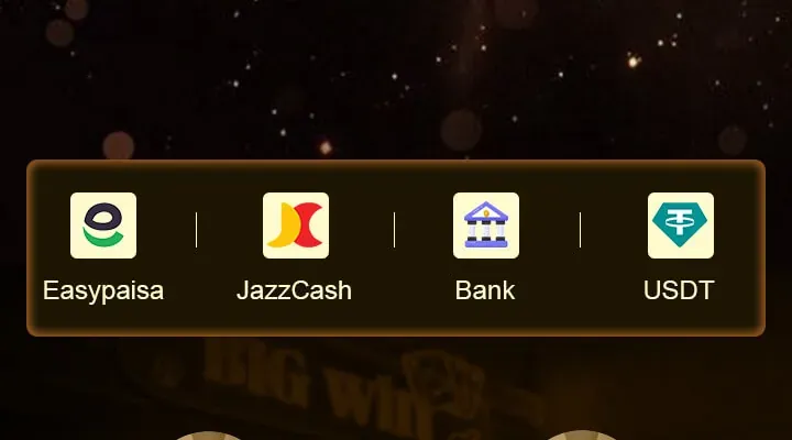 Payment methods strip from the Royal Paisa landing page: Easypaisa, JazzCash, Bank, USDT